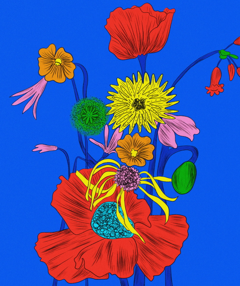 插画设计/卓美设计