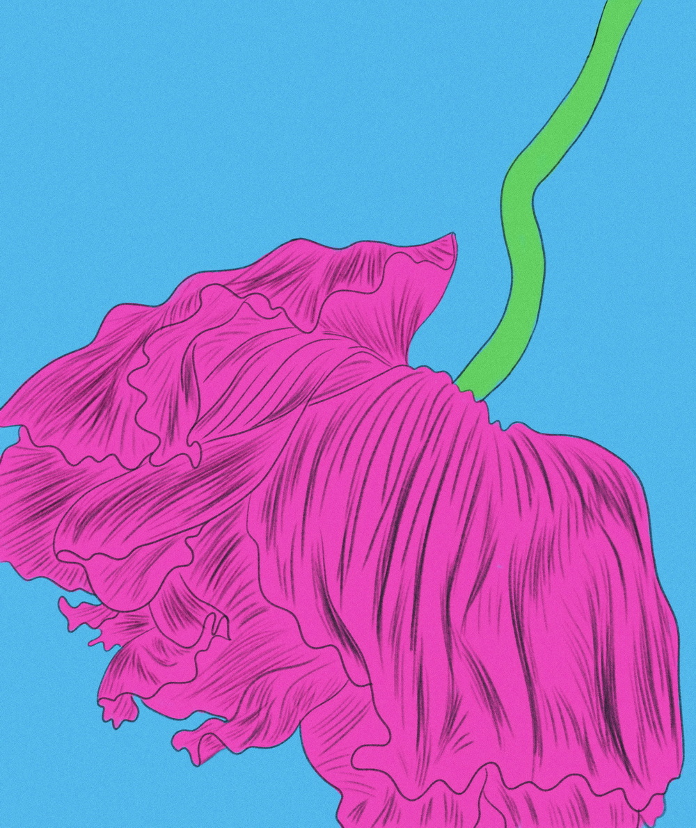 插画设计/卓美设计