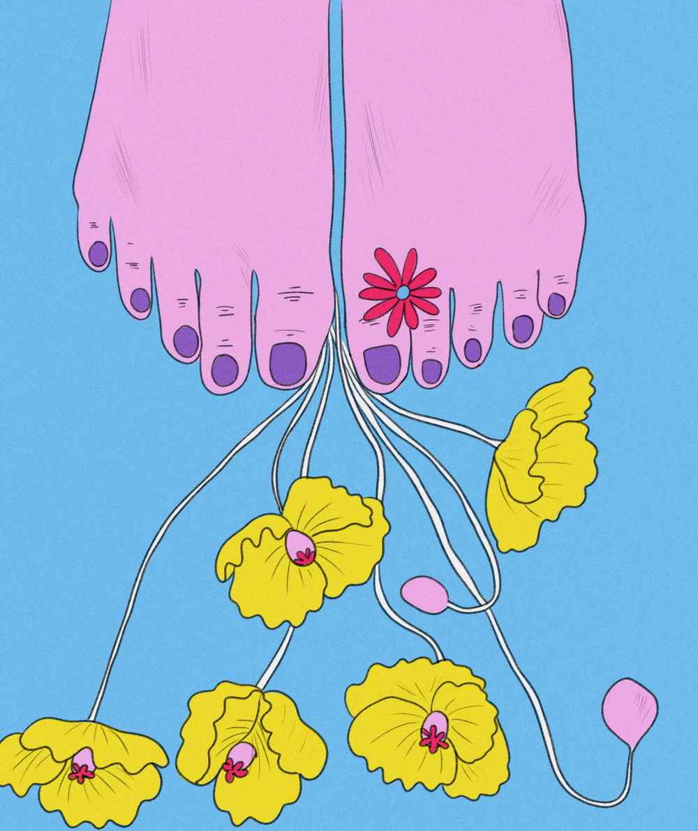 插画设计/卓美设计