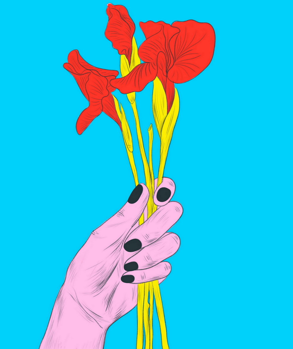 插画设计/卓美设计